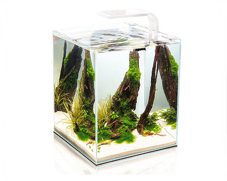 Aquael Day and Night Shrimp Set Tank - White 30L